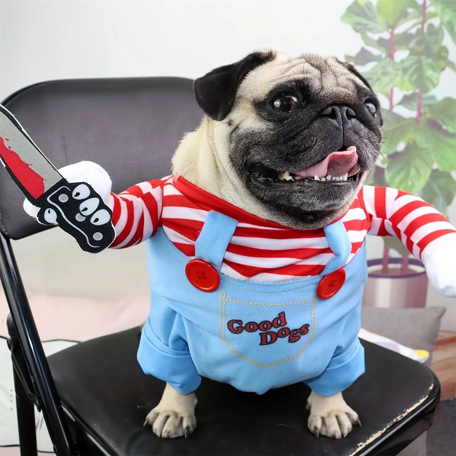 Chien déguisé en poupée diabolique pour Halloween